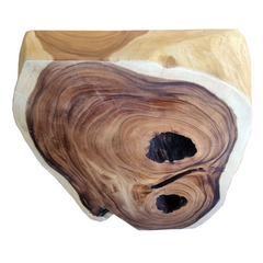Knot Hole Stump · No. 140