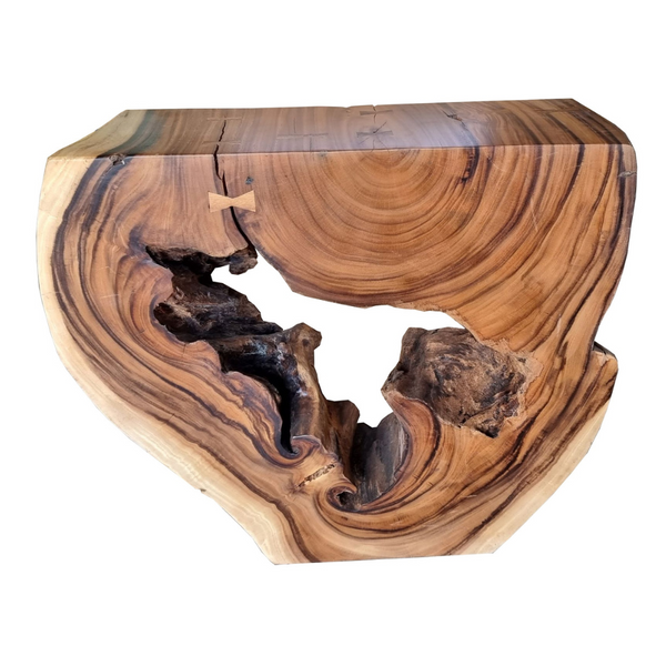 Heartwood Slab Stump · No. 58